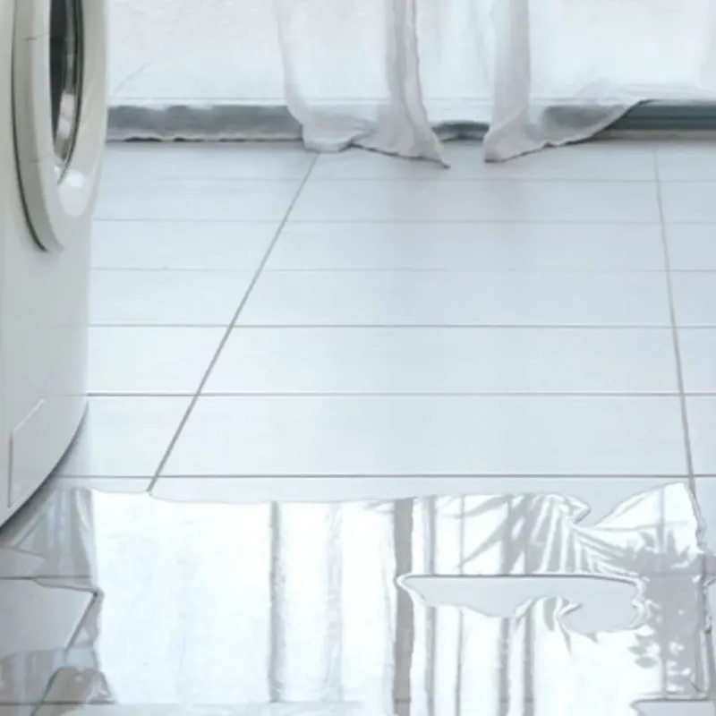 Appliance Leak Cleanup in Wilmington, OH