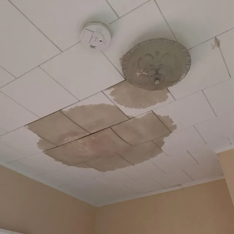 Ceiling Water Damage Repair in Wilmington, OH