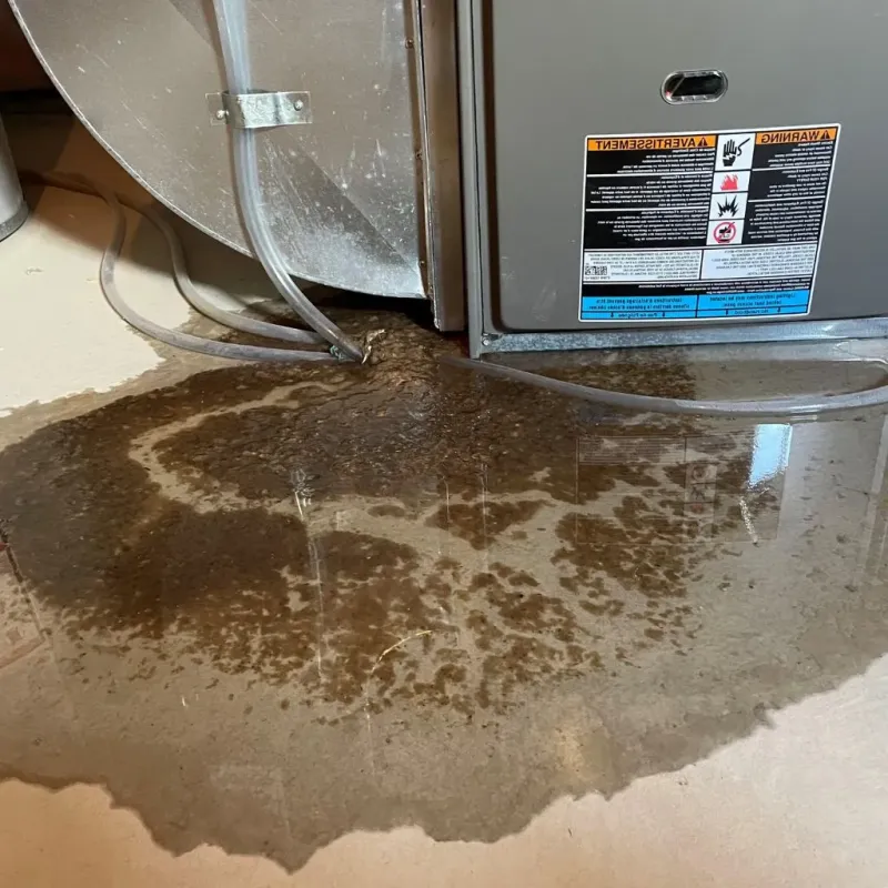 Pipe Burst and Leak Restoration in Wilmington, OH