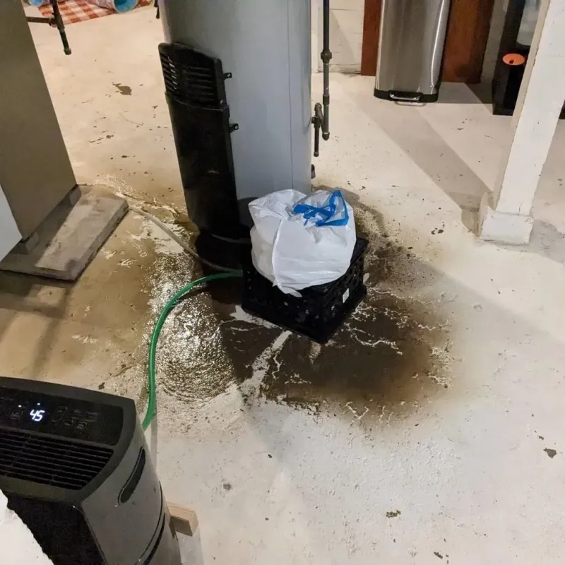 Sewage Backup Cleanup Service in Wilmington, OH